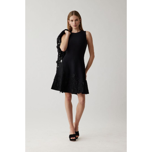 Teri Jon Knit Fit N Flare Lace Trim Dress at Helen Ainson